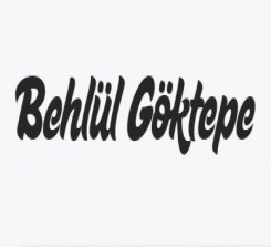 Behlül GÖKTEPE - SEO Yöneticisi